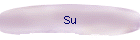 Su